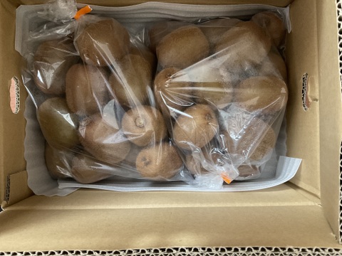 ビタミンたっぷりキウイふる～つ　家庭用Mサイズ４Ｋ【品種ヘイワード】