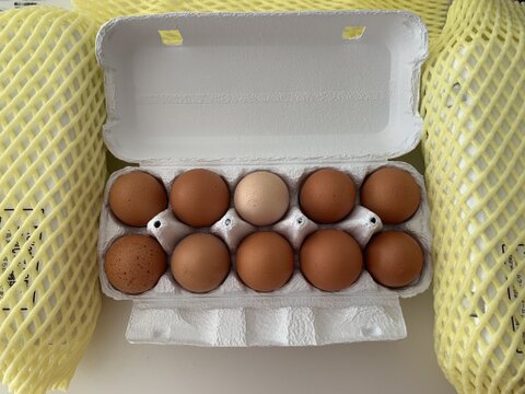 幸せ島育ち！✨有機野菜を食べて育った平飼い有精卵　30個　Happy Eggs