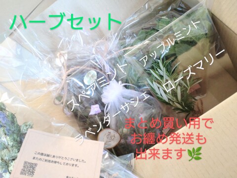 【単品☆メール便用】ラベンダー サシェ🌿ラベンダーデンタータのセミドライ（生葉に近いです）葉と花をオーガンジーの袋に詰めました🌿ハーブ🌿ポプリなどに☆自然栽培🏣レターパックライトにて発送