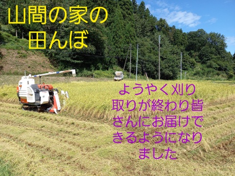 【令和8年産新米】【農家直送】新潟・とちお産コシヒカリ10kg｜棚田育ち・雪どけ水と山の湧水が育むお米（送料相当値引き中）