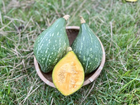 甘み濃厚！京都産ロロンかぼちゃ（2〜3玉 約3kg）