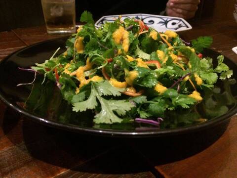 【青空レストランで紹介！】強烈なニオイ！タイ人絶賛パクチー好きのためのパクチー（１kg）『飲食店様向け』