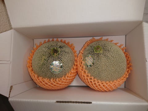 2024茨城メロン品評会グランプリ受賞👑クインシーメロン(4L2個入り)