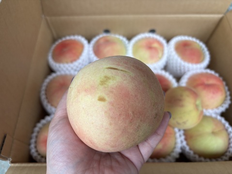 桃🍑　訳あり　3kg