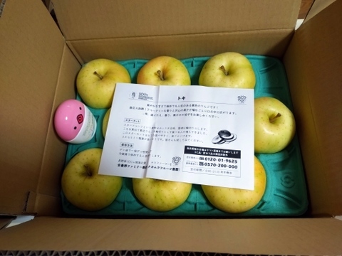 残り8ケース【フルティーサマーアップル】トキ 3キロ箱 6玉〜15玉サイズ商品ID09523 長野県 信州 安曇野 リンゴ 幻 幻のリンゴ 予約 希少 旬