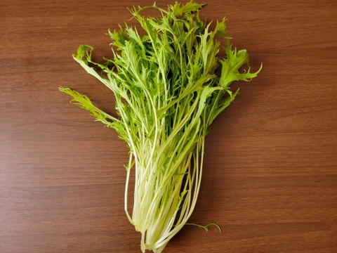 農薬不使用でサラダもできるシャキシャキ水菜1kg