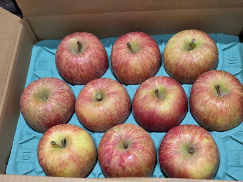 ⭐リピーター急増中!!!!
色むらあっても味勝負✨
葉とらず栽培　サンふじ 3kg 家庭用