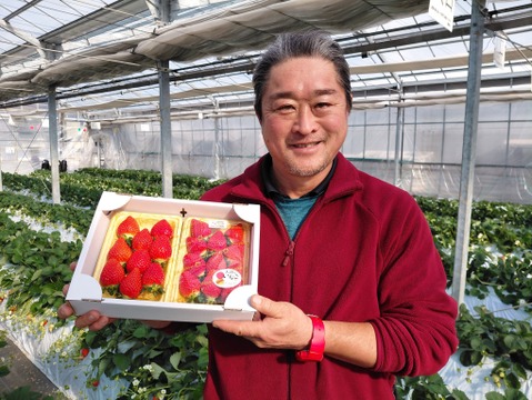 ワイン堆肥で栽培！　べにたま『埼玉いちご』　2パック詰め中粒」
環境保全に取り組みながら「美味しいだけじゃない苺」を栽培
地域資源循環型農業で有機ゴミを有効活用できる「いちご特別栽培」認証！