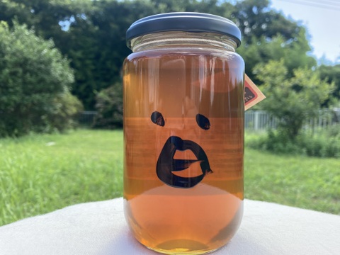 夏のハチミツさん　450g