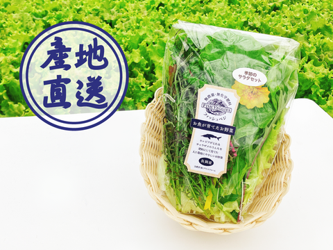 【FISH VEGGIES】フィッシュベジ季節のサラダセット 90g〜　化学肥料/農薬不使用だから安心して食べられる