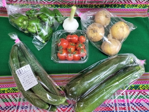 ミニ夏野菜セット☆ひとり暮らしサイズ　60サイズ　数量限定