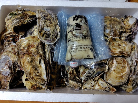 【期間限定10％値引き販売中】剥き身セット🚚2.3kg 生牡蠣🦪生食用むき身300g+殻付き牡蠣普通サイズ ２kg（目安12-32個）松島牡蠣屋 C