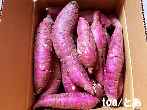 本場鹿児島産の甘～い べにはるか（さつまいも）5kg