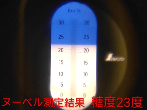 【ヌーベルローズ3房/750g以上】