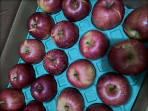 シナノスイート10キロ 　ジャム、ジュース用にはもったいない、少しの傷りんご。