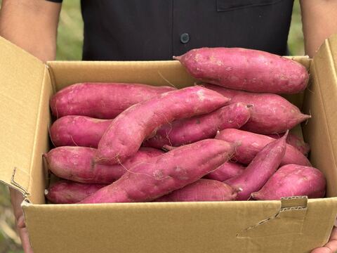 【福袋】千葉県産さつまいも5㎏　ふくむらさき　美しい紫色でインスタ映え！熟成させると甘みが増します！蒸し芋・温野菜にもおすすめ
