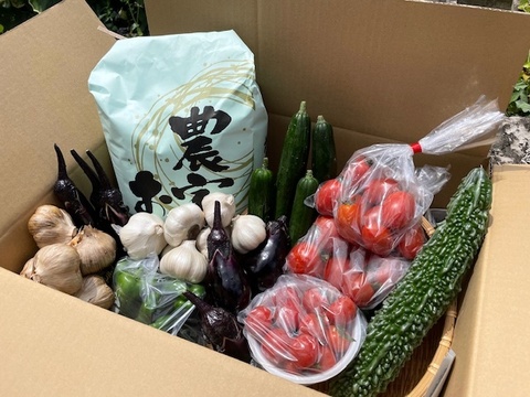 お米５kgとにんにく（白黒）＆季節野菜セット（旬枝豆）