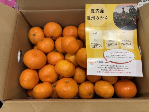 【年末セール】ご家庭用 濃厚 真穴（まあな）産 早生みかん サイズ混合 2S～2Lサイズ 5kg 数量限定（サイズ指定不可）