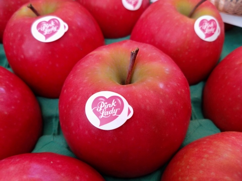 キュンとくる酸味りんご❗　ピンクレディー®（12個から16個）箱含め3キロ