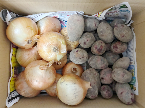 【お得な訳あり！8月末まで】グラウンドペチカ&奥州タマネギ (5kg)