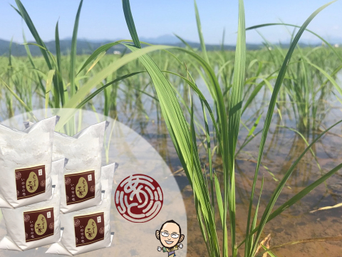 【米粉】800g(200g×4袋)超高級米いのちの壱100%