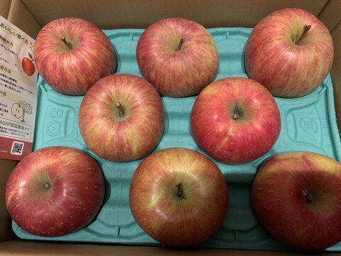 【王道サンふじ】　3㎏　8～12玉　本場青森りんご　農家直送　元気なりんご