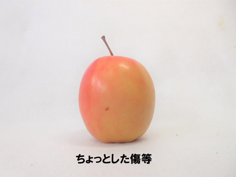 【超希少品種！】果肉まで赤～いりんご「御所川原（ごしょがわら）」B品不揃い（2.2kg強)