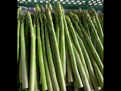 【7月1日~8月中旬頃予約開始】旬の野菜ギフト 夏のグリーンアスパラガス約800g L〜2L