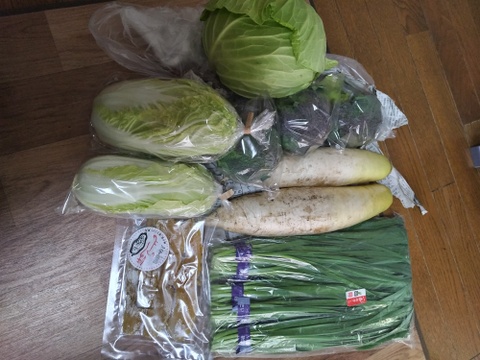 【定期】ニラ好き様😊中山間地域の美味しい季節のニラづくし便。その時採れるニラ、その他野菜は採れたて。加工品などを送ります。100サイズ。