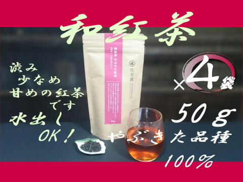 〈4袋セット！〉お湯はもちろん水出しも美味！【和紅茶】　やぶきた紅茶　50g×4袋　農カード付！