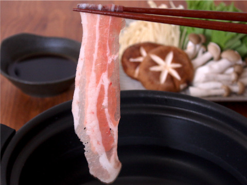 ＜ギフト＞元気豚　味わいしゃぶしゃぶ三昧【一部地域を除き送料込み】【766】