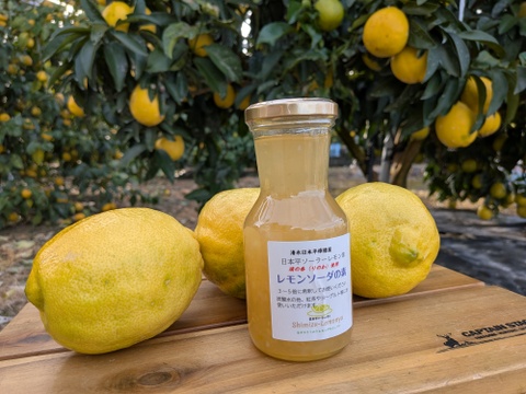 日本平ソーラーレモン®璃の香とレモンソーダの素セット『静岡県産』