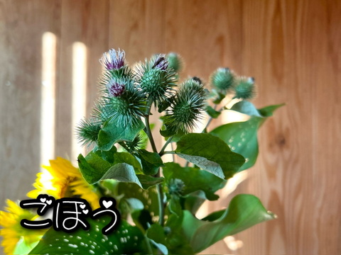 奥出雲産自然草ブーケ