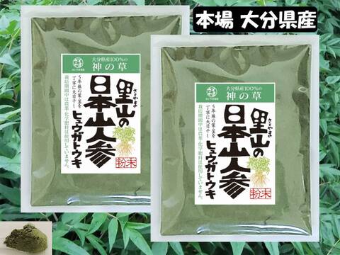 日本山人参粉末（ヒュウガトウキ）６０ｇ×２袋、 栽培期間中は農薬・化学肥料不使用、本場大分県産　品質に自信あり