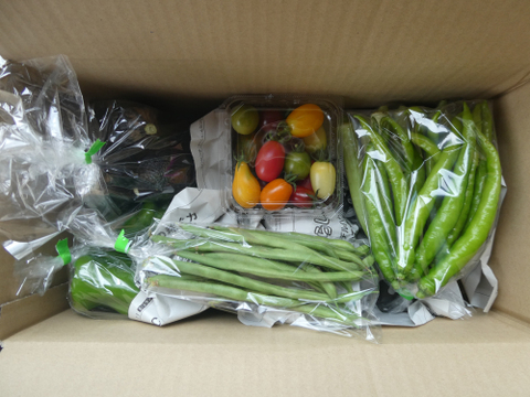 季節の野菜セット７～８品（Ｍサイズ・3～4kg前後）旬の野菜をお届けします