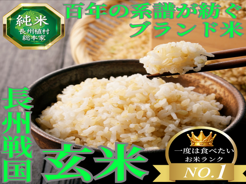 🎊今だけ1キロ増量中🎊【一度は食べたい“日本全国No.1米”】全国誌に選ばれた伝統米農家🌾百年の系譜を継ぐ名門長州植村総本家が生み出す『長州戦国玄米』新米約5㎏＋1㎏【冬ギフト】【12月上旬予約】