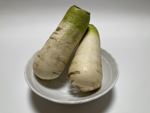 おろしそばに最適! 福井県産 辛味大根(品種名:ねずみ大根) 400~600g