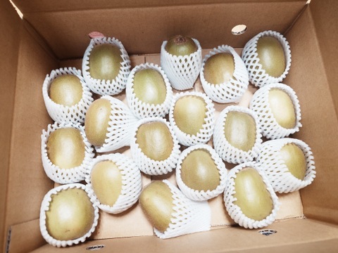 【極甘！】 キウイフルーツ紅妃 中心が紅い珍品種！