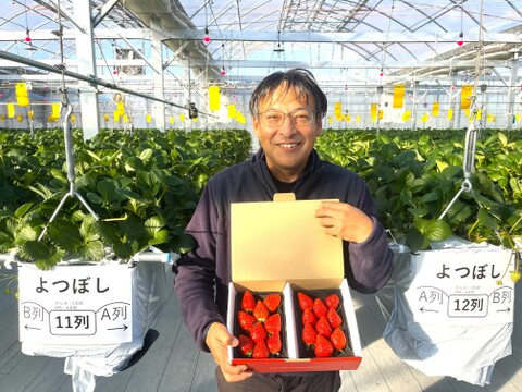 《濃厚しっとり美味しいイチゴ♪》よつぼし280g×2パック　佐賀県基山町産