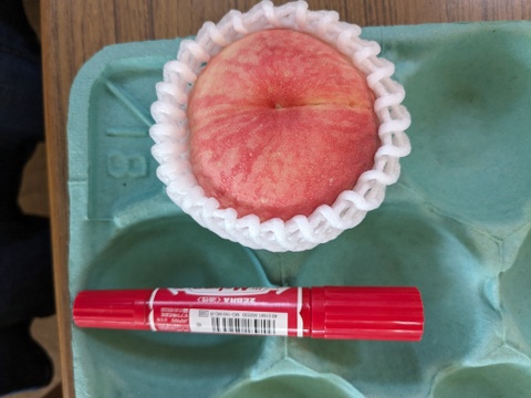 【夏ギフト】なつおとめ　池多桃　6、5玉