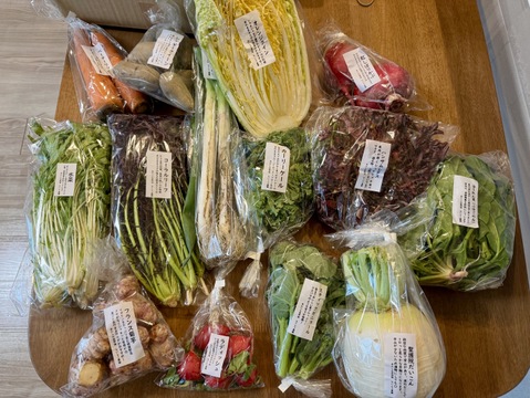 定期便限定!【旬のVEGE箱（Rサイズ）】土壌医＆有機農家がつくる！畑の「今」を箱いっぱいにつめこんだ野菜セット（約11〜12品種）