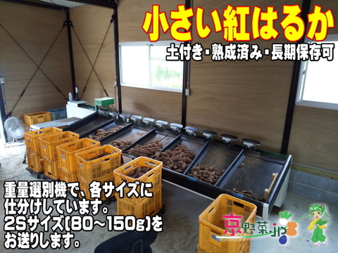 小さい紅はるか(京都産) ひとつ80～150g