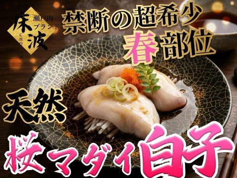 【一般市場に出回らない】食通が黙る超希少天然国産幻の『桜真鯛大トロ白子』初登場🐟長州床波ブランド数量極少約200g【朝どれ】【3月下旬】