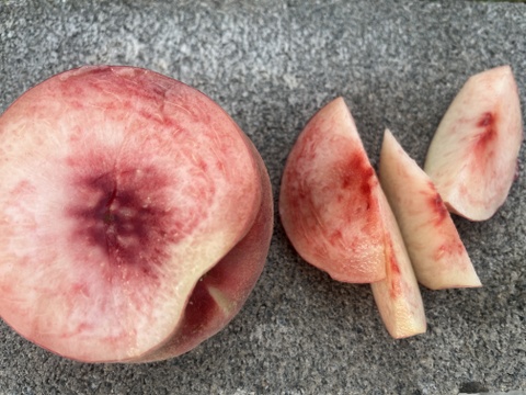 桃「川中島」家庭用5kg（10〜18玉）