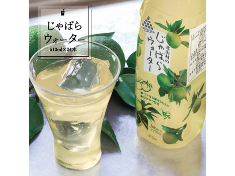TVで紹介されました！北山村のじゃばらウォーター510ml×24本