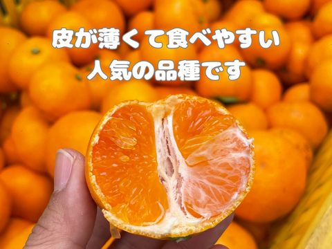 超ジューシー！ゆら早生 有田みかん 3ｋｇ 家庭用