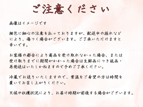 あかつき４～６玉 ギフトボックス【2025年先行予約】【信州長野県産】※7月下旬発送開始