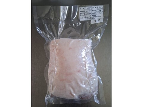 ジビエ　イノシシ　モモ　ブロック　860g