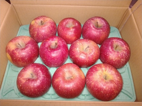 【夜市限定】感謝お礼セール‼️とことん味にこだわりました💪😊🍎青森県産葉取らず完熟ふじ3キロ。