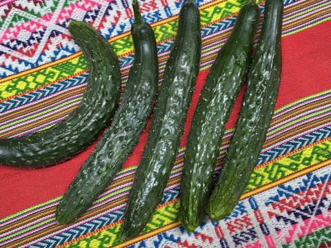 農園自慢の夏野菜セット　4種8袋★パチャママ農園